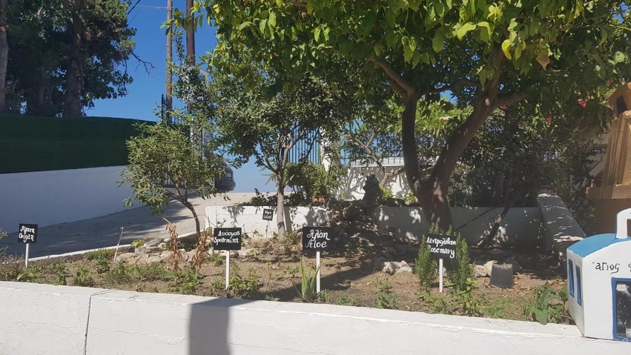 Aspro Spiti Hotel Apartments Tigkaki  Exterior photo